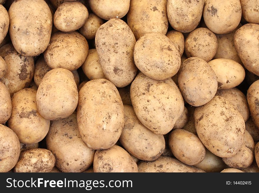 Big bunch of natural potatoes at market
