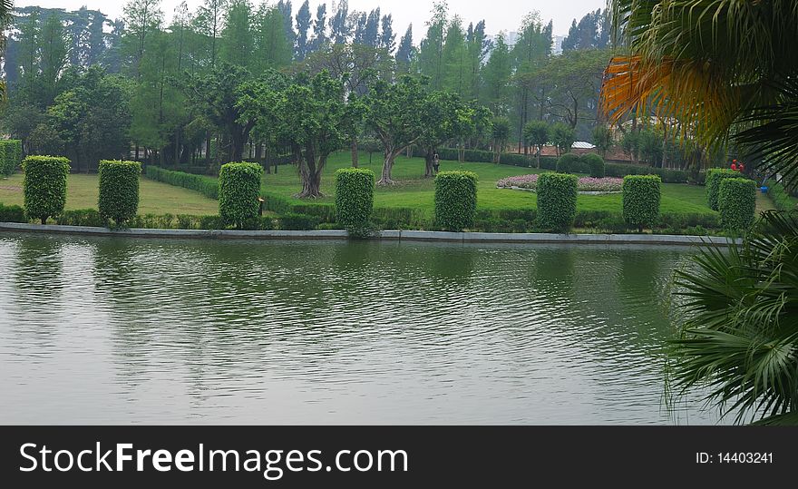 Scenery of pond in a south city in China