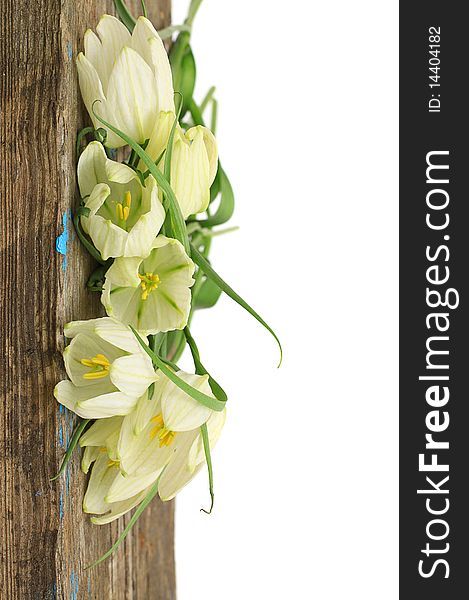 Wooden board and flowers on a white