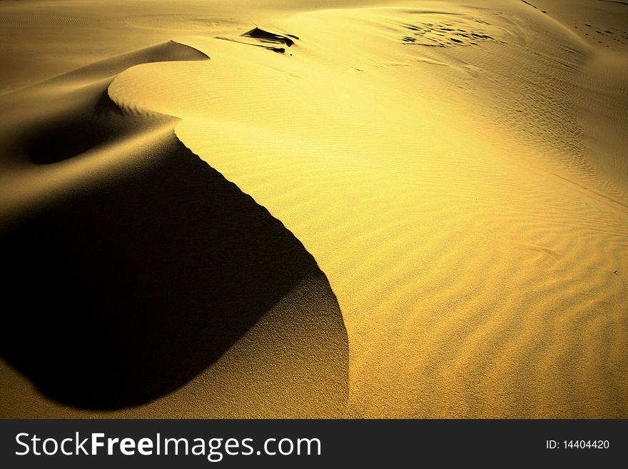 Beautiful golden sand dunes on lovely fraser Island