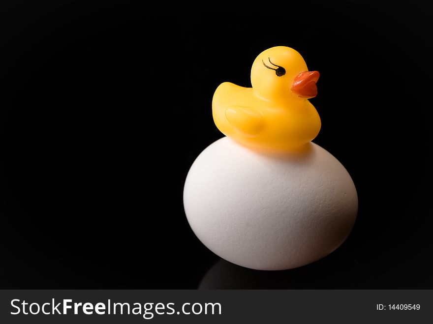 Little Yellow Rubber Ducky on a white egg twice it's size. Little Yellow Rubber Ducky on a white egg twice it's size.