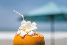 Fresh Young Orange Coconut With A Tube For Drinks And Plumeria Flowers In A Tropical Resort Near The Ocean Royalty Free Stock Photo