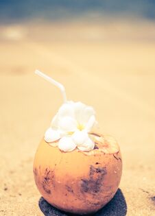 Fresh Young Orange Coconut With A Tube For Drinks And Plumeria Flowers In A Tropical Resort Near The Ocean Stock Photos