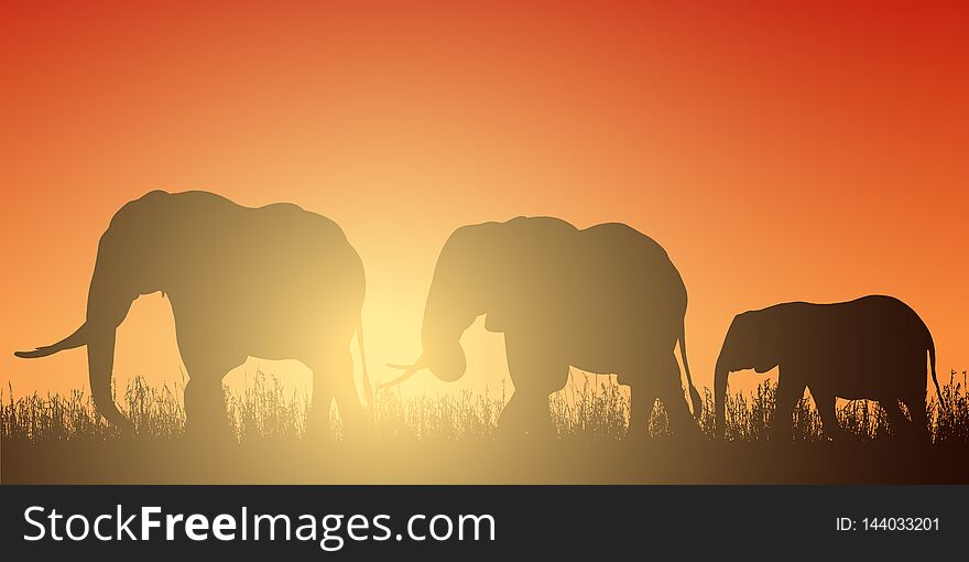 Realistic illustration with silhouette of three elephants on safari in Africa. Grass and red-orange sky with rising sun - vector