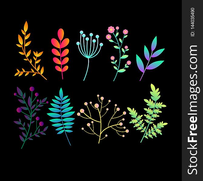 Set with original bright gradient  abstract plants, branches and leaves. Colorful botanical pattern collection icons for design. Isolated in black background. Fantasy vector texture with plants
