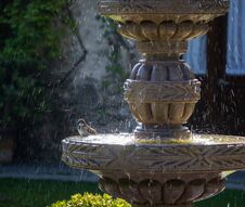 Tiny Bird In Large Stone Fountain Stock Images Tiny Bird In Large Stone Fountain Stock Images