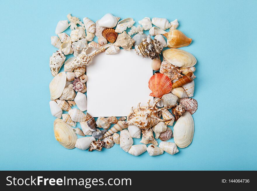 Frame from seashells on blue background