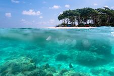 Free Over-under View Of A Tropical Beach With Lush Tropical Tree Royalty Free Stock Photos - 144097838