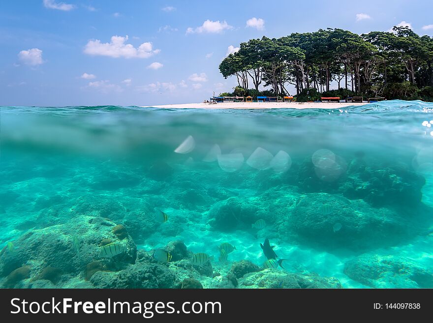 Over-under view of a tropical beach with lush tropical tree and sunlight on sandy seabed below water surface, Andaman and Nicobar Islands. Neil,Havelock. The concept of snorkeling and diving