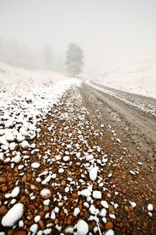 Ice Fog In Cypress Hills Stock Photo Ice Fog In Cypress Hills Stock Photo
