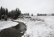 Winter Day In The Cypress Hills Stock Image Winter Day In The Cypress Hills Stock Image