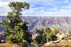 Great Colorado Canyon Stock Images Great Colorado Canyon Stock Images