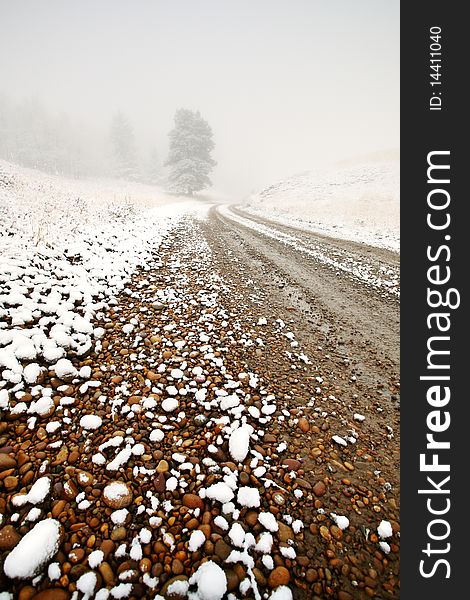 Ice fog in Cypress Hills Provincial Park of Saskatchewan