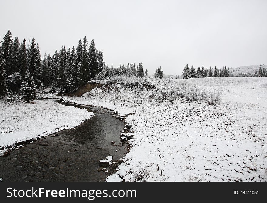 Winter day in the Cypress Hills of Saskatchewan