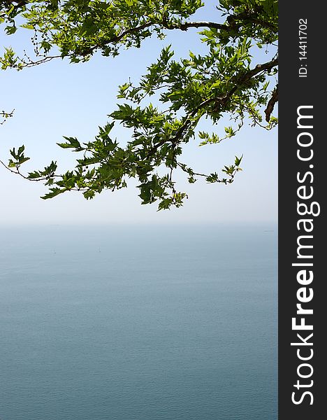 Bough of an oak tree at top of a hill with a wonderful panoramic view over the sea.

The lower part can be used as background for text. Bough of an oak tree at top of a hill with a wonderful panoramic view over the sea.

The lower part can be used as background for text.