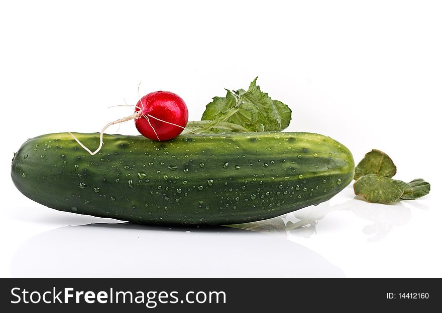 Farm Fresh Cucumber and Radish on White Background