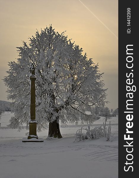 Monument and snowy tree at sunset. Monument and snowy tree at sunset