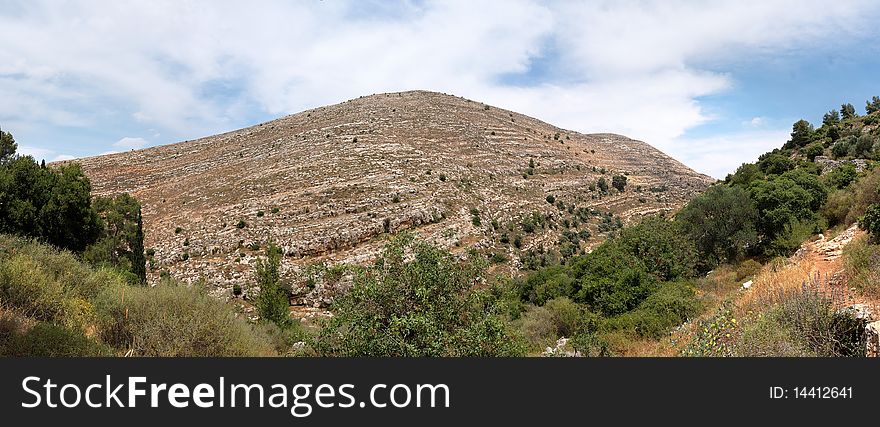 Judean mountain landscape of rocky wooded hills