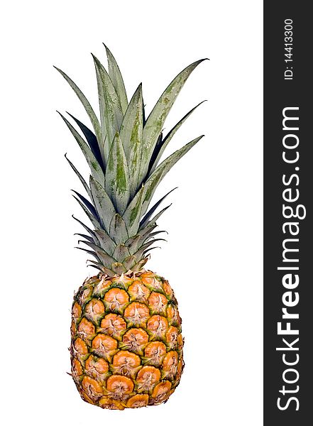 Pineapple