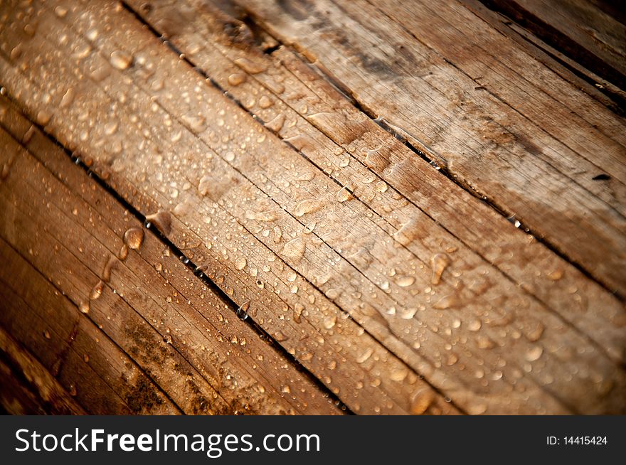 Drops of rain rolling off of a log. Drops of rain rolling off of a log.