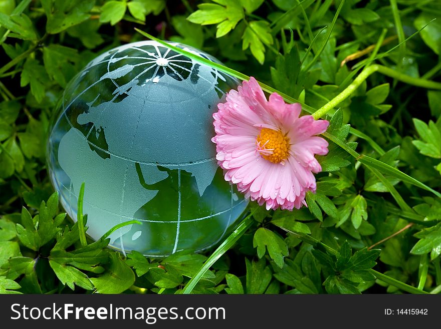 Globe on green grass with daisy