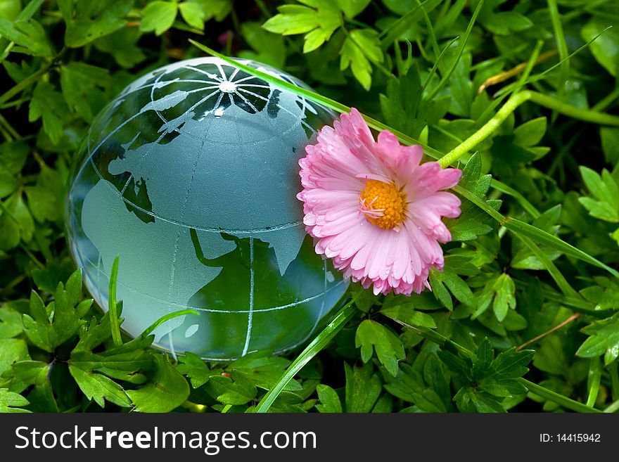 Globe On Green Grass