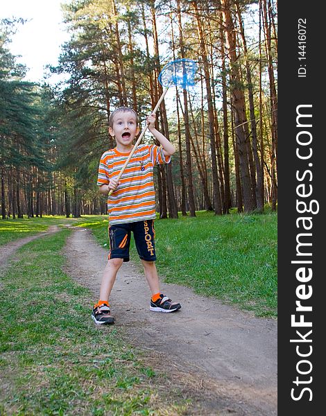 Boy catches a butterfly in a pine forest on a summer day