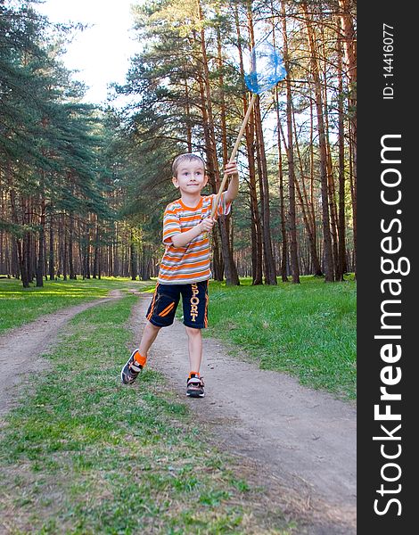 Boy catches a butterfly in a pine forest on a summer day