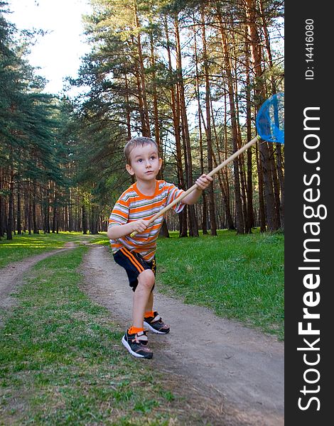 Boy catches a butterfly in a pine forest on a summer day