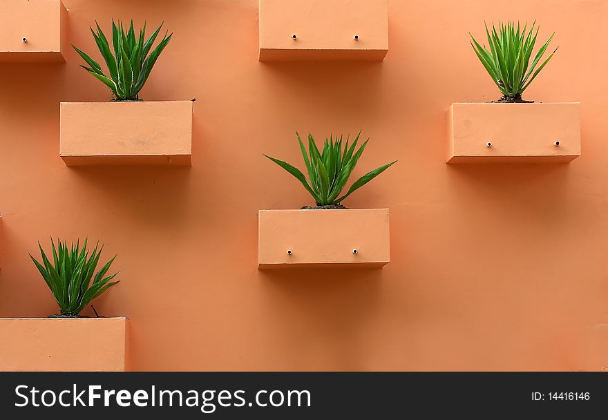 Orange background with the tree stand