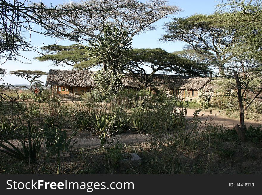 Africa Tanzania, view of the lodge in the bush. Africa Tanzania, view of the lodge in the bush