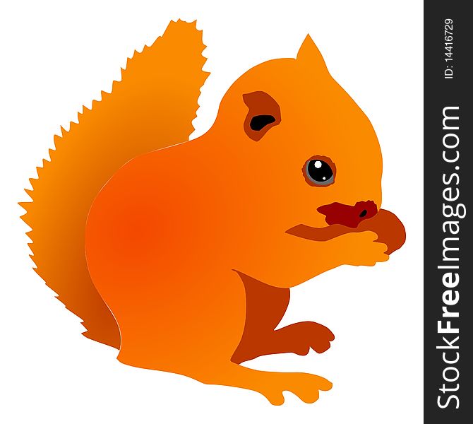 Vector colored illustration of squirrel cub