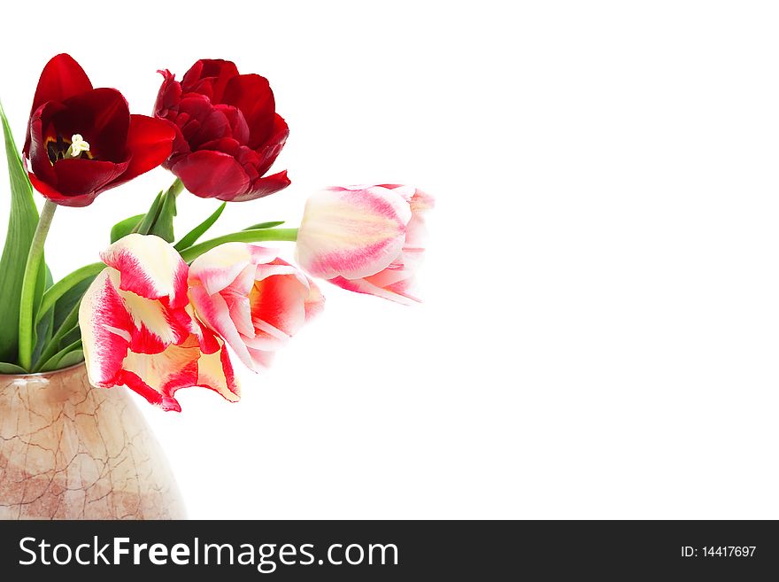 Bouquet of tulips in a vase isolated on white