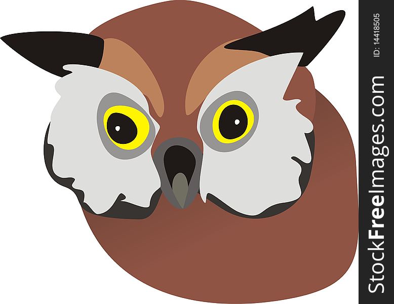Head of an owl. A vector illustration