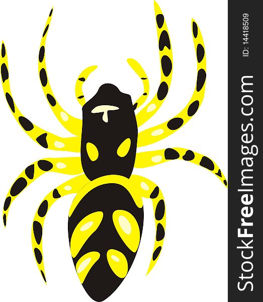 Poisonous spider. A vector illustration