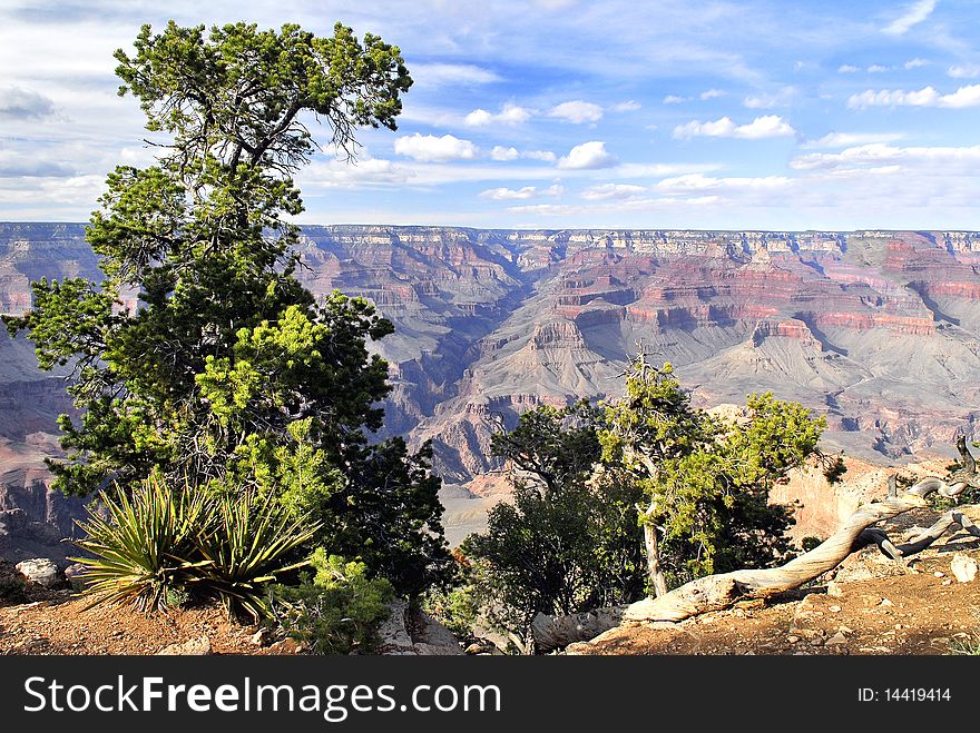 Photograph of the Great Colorado Canyon