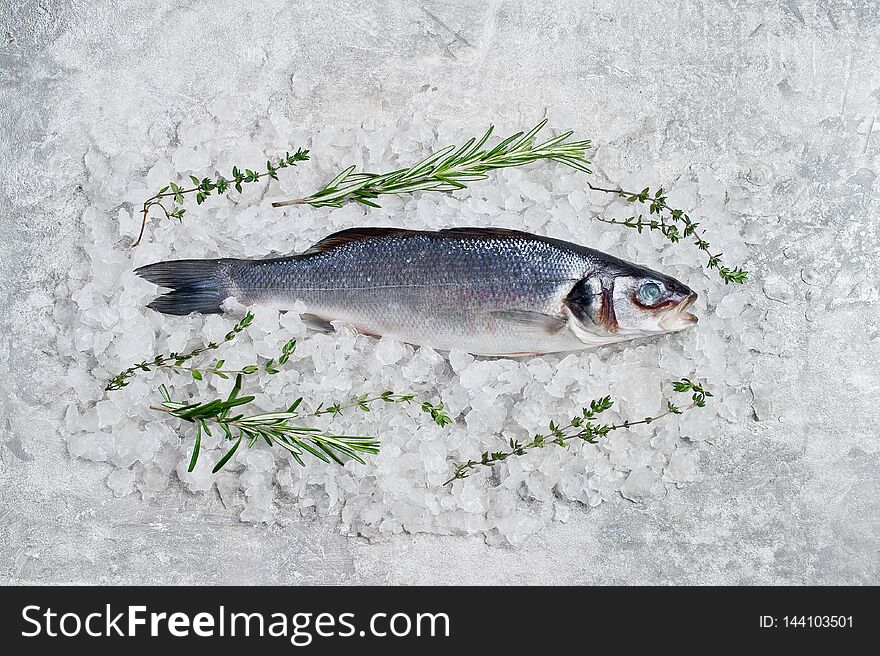 Raw sea bass on ice with rosemary and thyme. Gray background, top view, space for text.