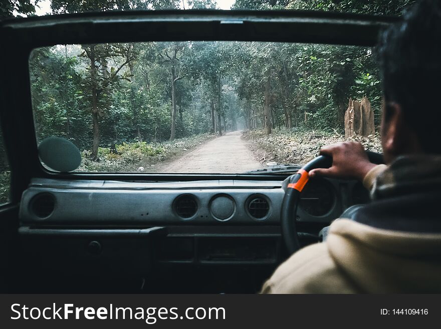 Behind the wheel of a classic retro car. The view from the back. Movement on the forest road. Safari car SUV