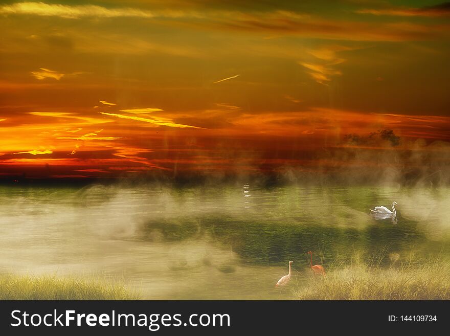 Dreamy look at a peacful misty morning on a calm lake. Dreamy look at a peacful misty morning on a calm lake