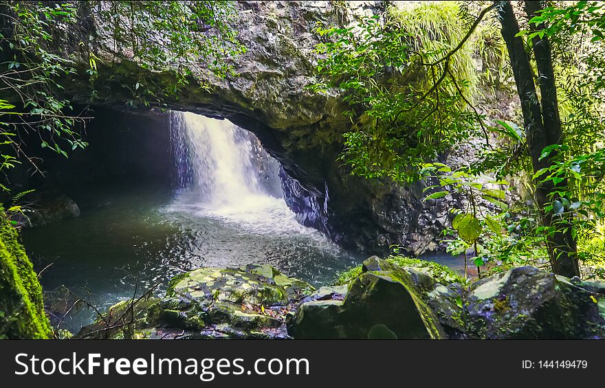 The view looking into the cavern at natural bridge in springbrook national park, queensland