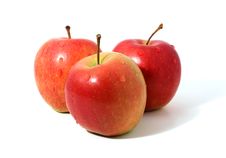 Red Apples Stock Image
