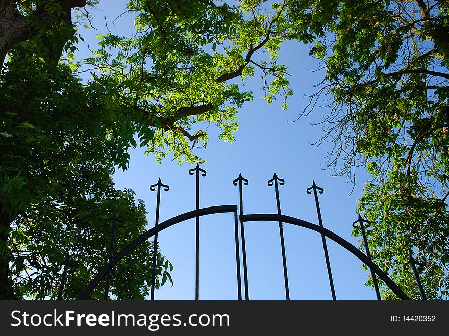 Iron gate surrounded by trees
