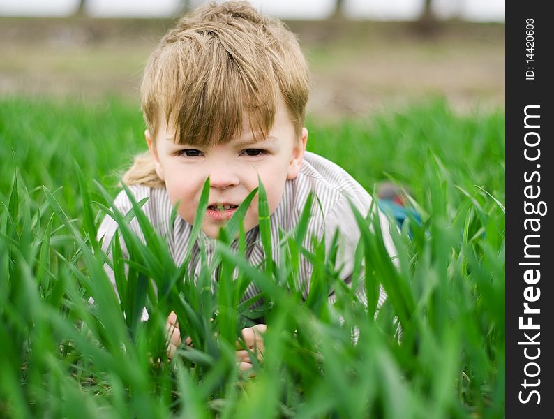 Little boy in the green grass. Little boy in the green grass