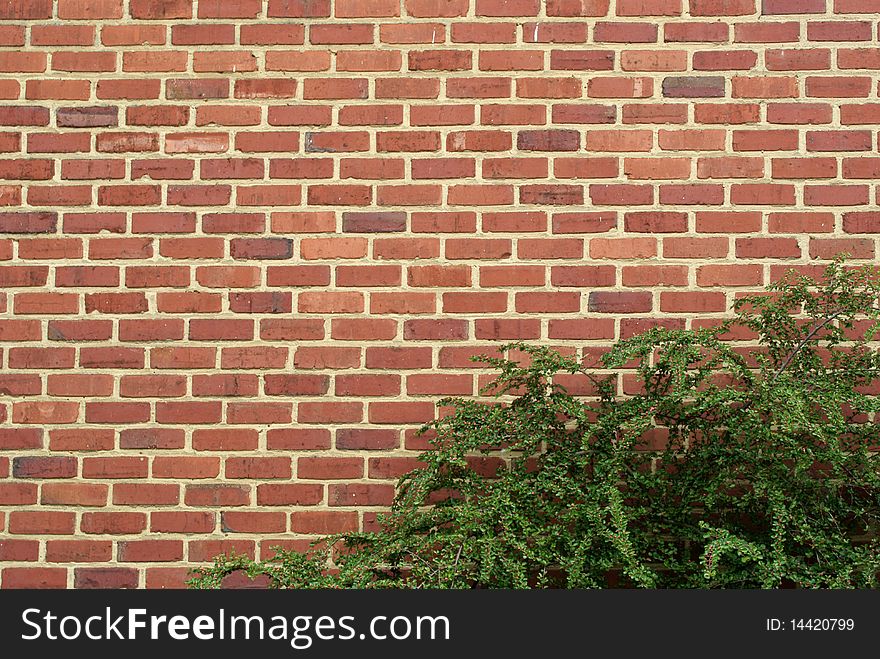 A particular of a wall with bricks in belgique. A particular of a wall with bricks in belgique