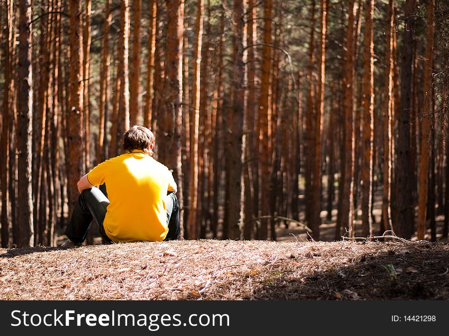Man sitting in the pine forest. Man sitting in the pine forest