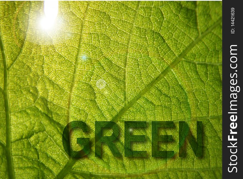 Green inscription on background of the green sheet with solar glare