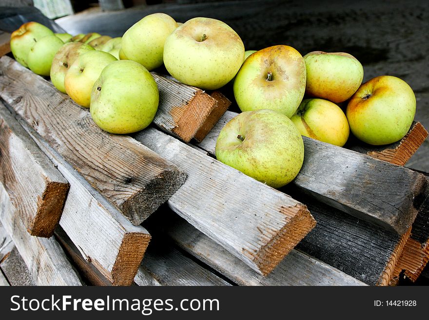 An image of a group of juicy green apples. An image of a group of juicy green apples