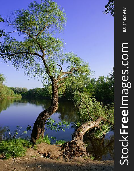 Colourful landscape on a background blue sky