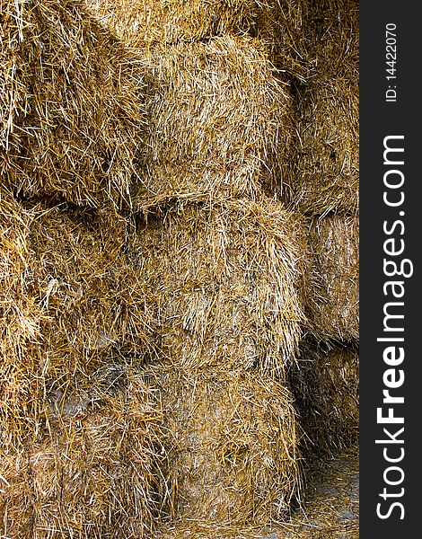 An image of rolled yellow dry straw