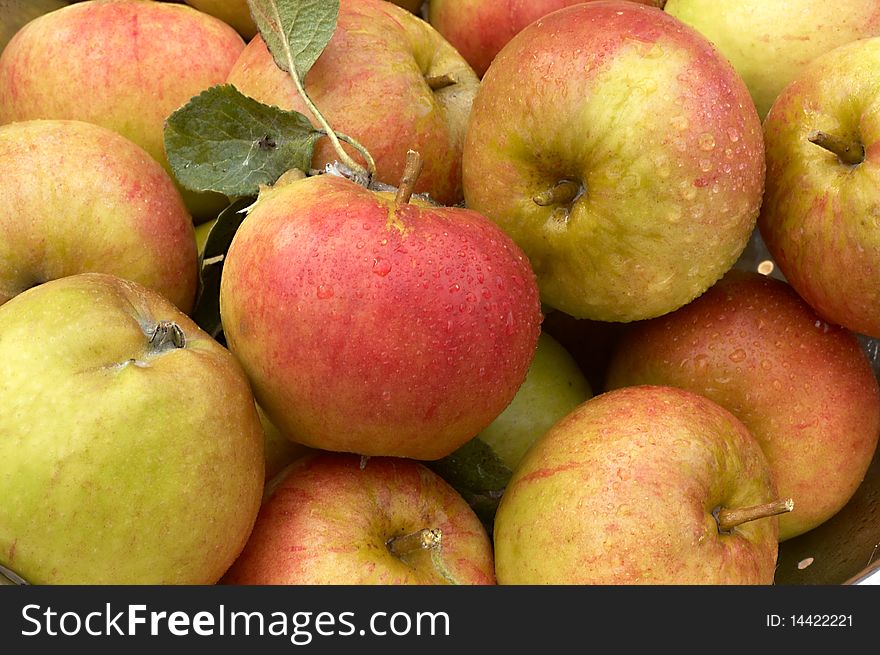 A pile of fresh picked apples.
